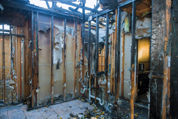 Professional Smoke Damage Removal technician working in Arlington, WA